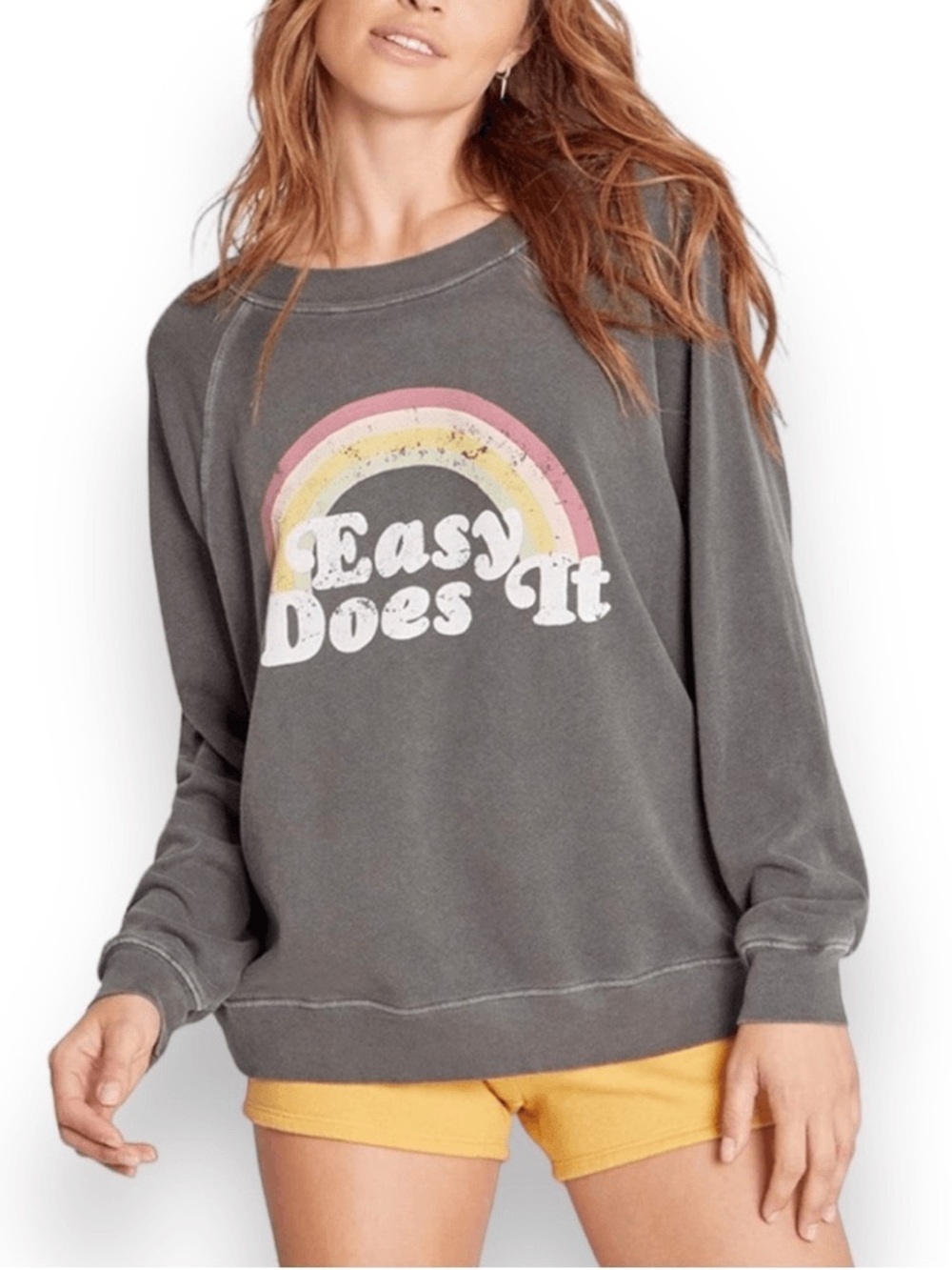 WILDFOX Easy Does It Rainbow Sommers Pullover Crewneck Sweatshirt Size XS